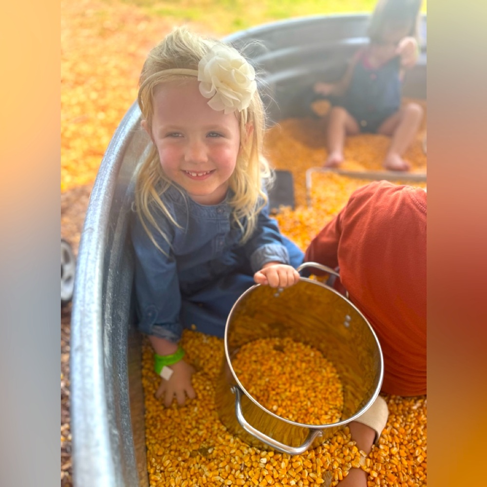 Meet the posher!💝